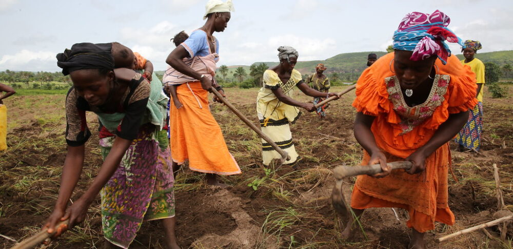 Women farmers plough fields in Gnoungouya Village, Guinea. Credit: Dominic Chavez/World Bank.