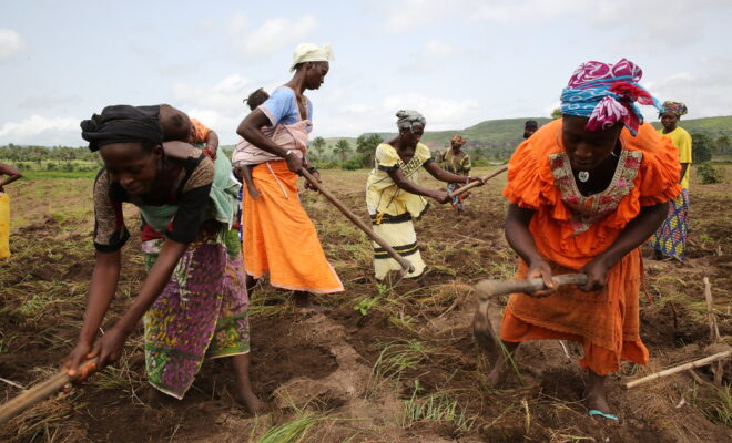 Women farmers plough fields in Gnoungouya Village, Guinea. Credit: Dominic Chavez/World Bank.