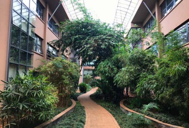 The green features at UN Environment Programme headquarters in Nairobi are, like green roofs, among the most innovative in the country. Credit: UN Environment Programme.