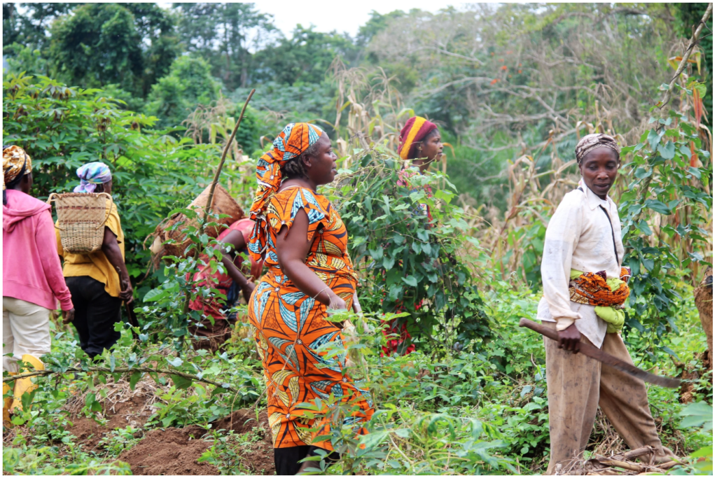 Conflict, Land Dispossession, and the Struggle for Gender Equality in ...