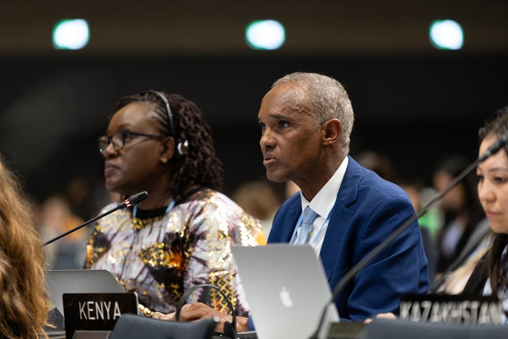 A United Africa Is Now The Only Path To The Climate Justice African 