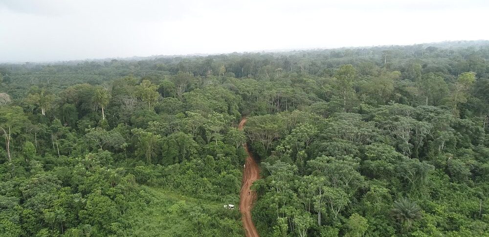 An aerial view of Ebo Forest, Cameroon, where logging has reportedly begun. Credit: CED.