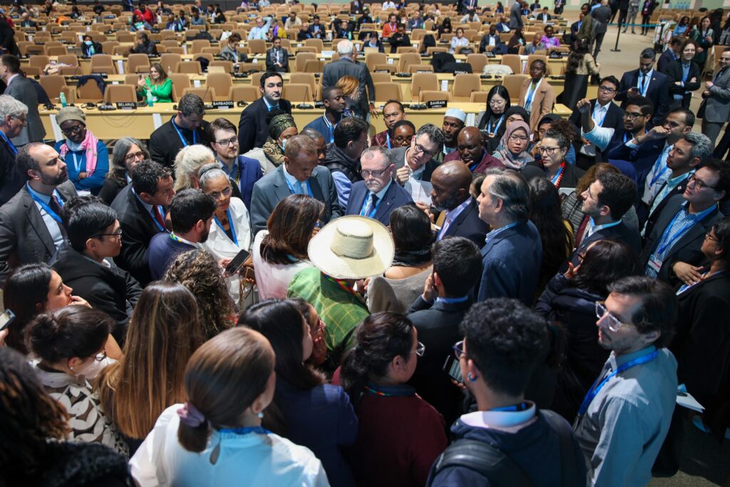 View(s) From Africa: Verdicts On The "shameful" COP29 Climate Talks ...