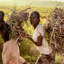 CAADP. Women in Ethiopia carrying wood. Credit: Rod Waddington.