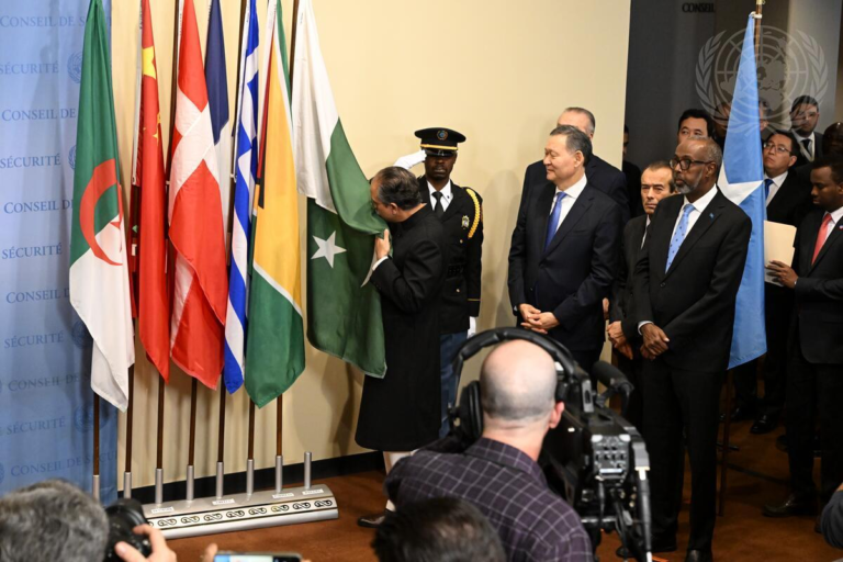 A Seat at the UN Security Council: A State on the Brink | African Arguments