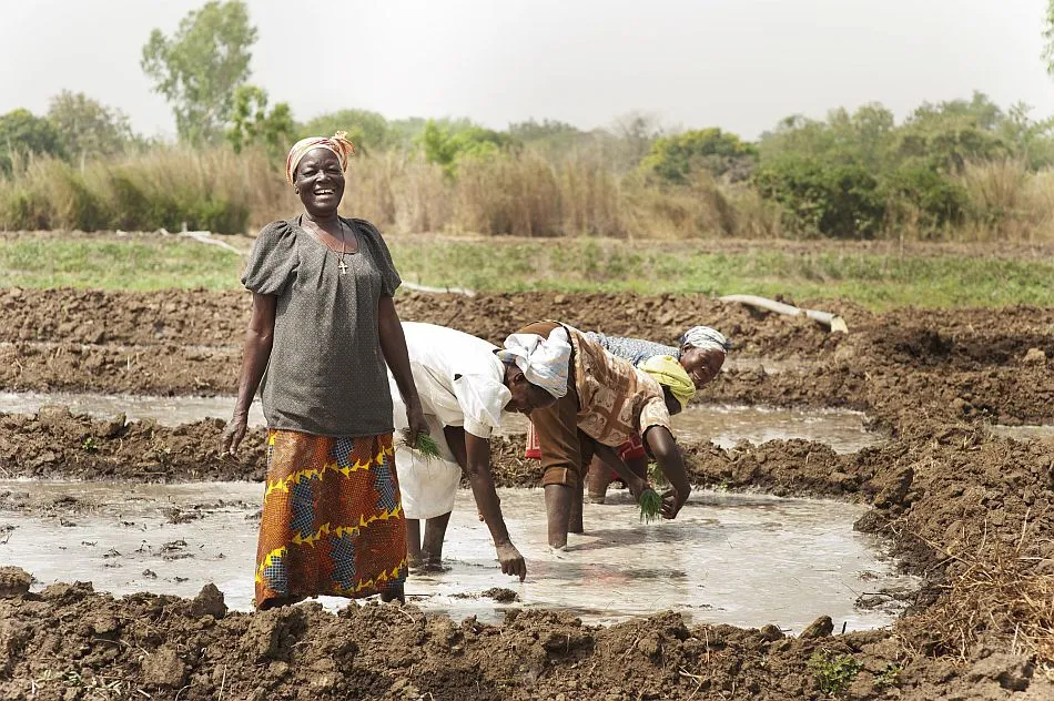From Tragedy to Resilience: Women Farmers in Ghana Turn to Agroecology to Confront Climate Change