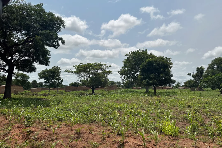 Controversial Chadian Law Risks Increased Rural Violence