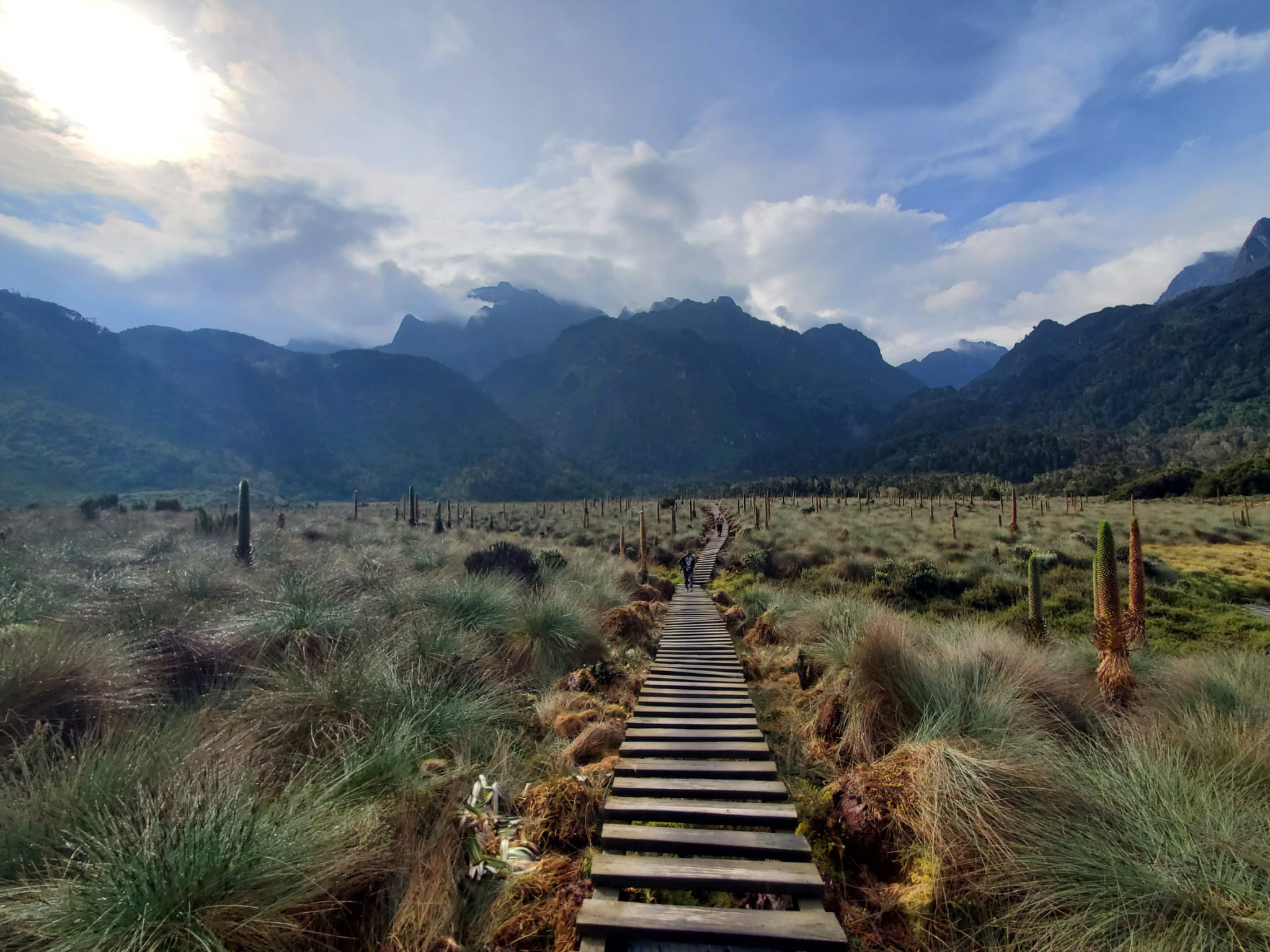 African Arguments Relaunching for 2026