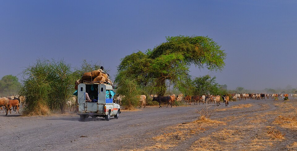 The Pagak Pivot: South Sudan’s Strategic Realignment and the Transformation of Nile Basin Politics