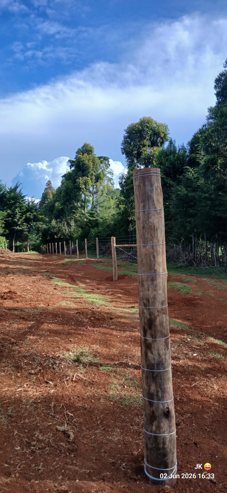 The $2.68 Million Fence vs. The Forest’s People