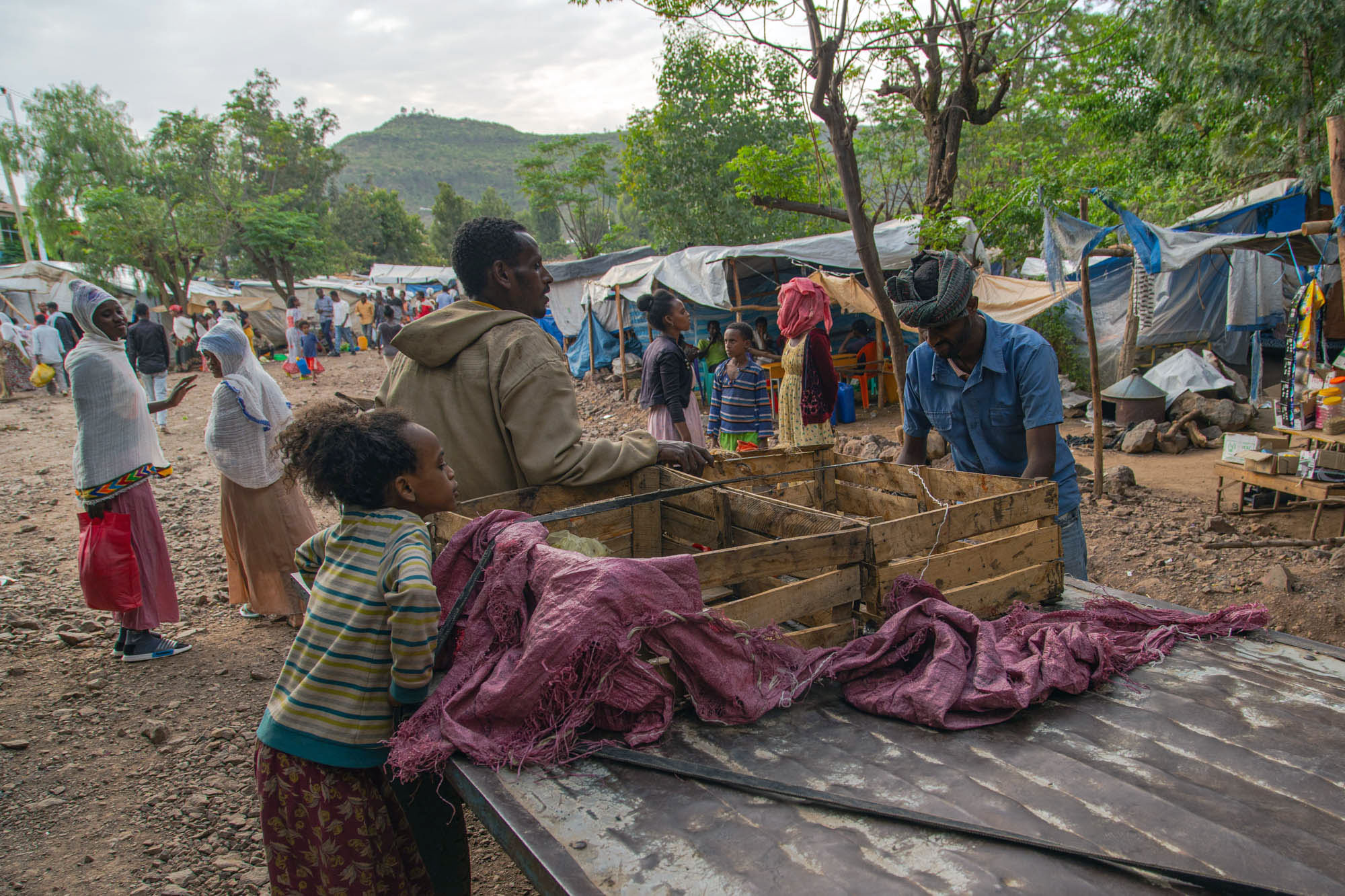 Tigray’s Lost Classrooms: Why Education Must Be at the Centre of Recovery