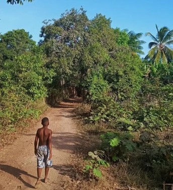 How a School Project in the Amazon Is Tracing Afro-Brazilian Ancestry Back to Africa’s Great Empires